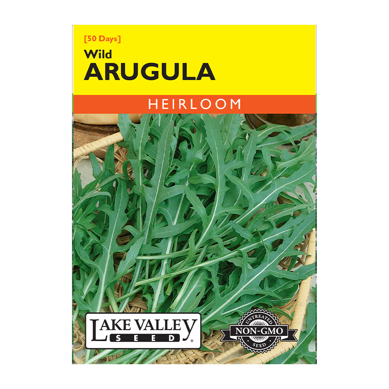 ARUGULA WILD HEIRL