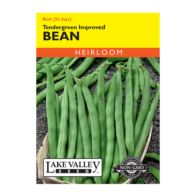 BEAN BUSH TENDERGREEN IMPROVD