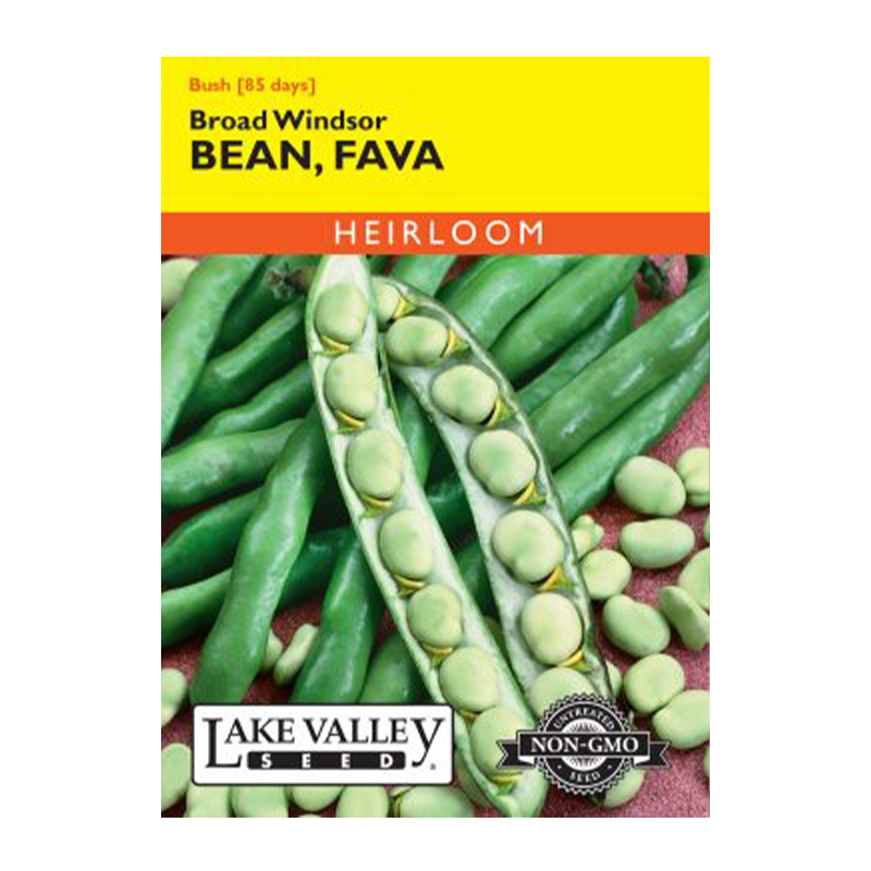 BEAN FAVA BROAD WINDSOR HEIRL