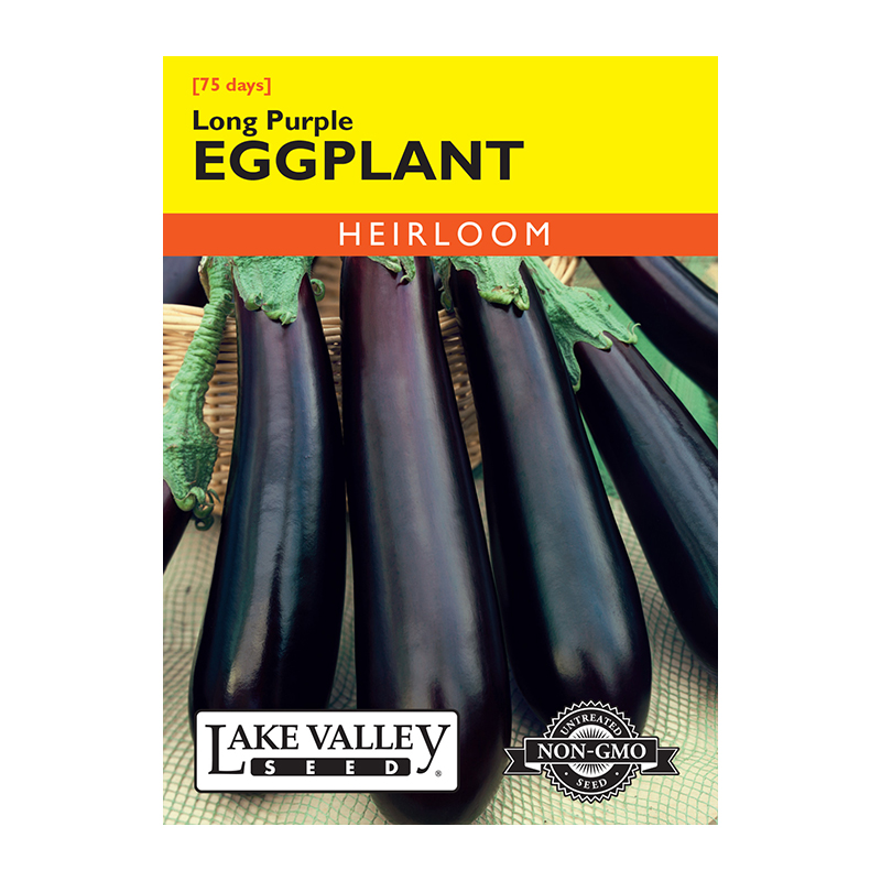 EGGPLANT LONG PURPLE HEIRL