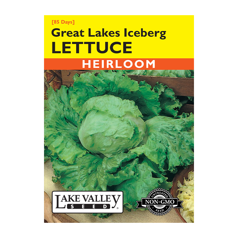 LETTUCE GREAT LAKES ICEBERG HEI