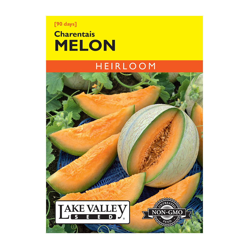 MELON CHARENTAIS HEIRL