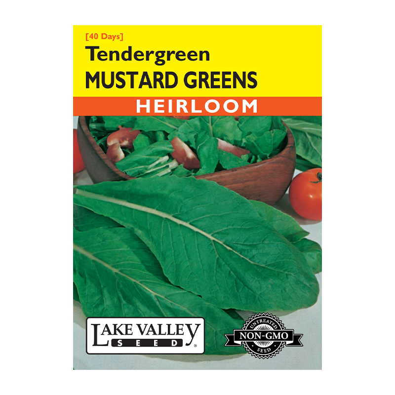 MUSTARD GREENS TENDRGREEN HEIRL