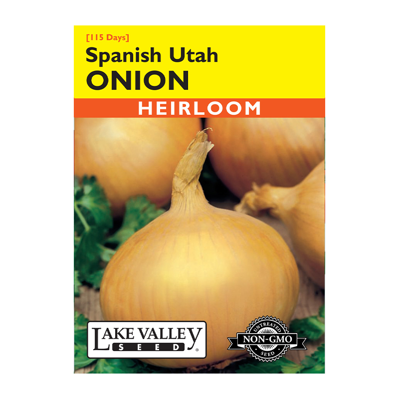 ONION SPANISH UTAH HEIRL