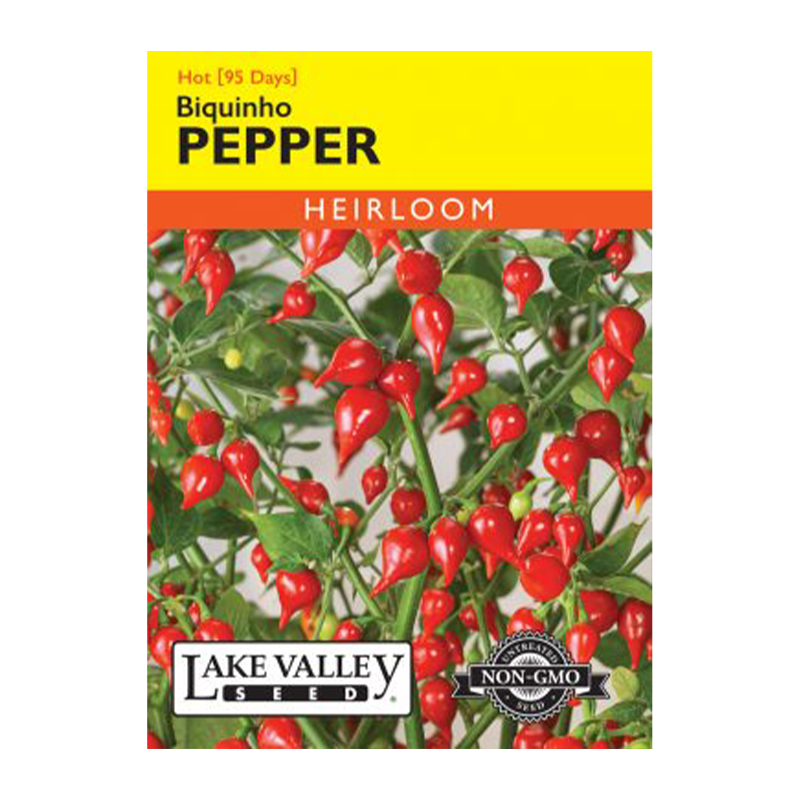 PEPPER HOT BIQUINHO RED HEIRL