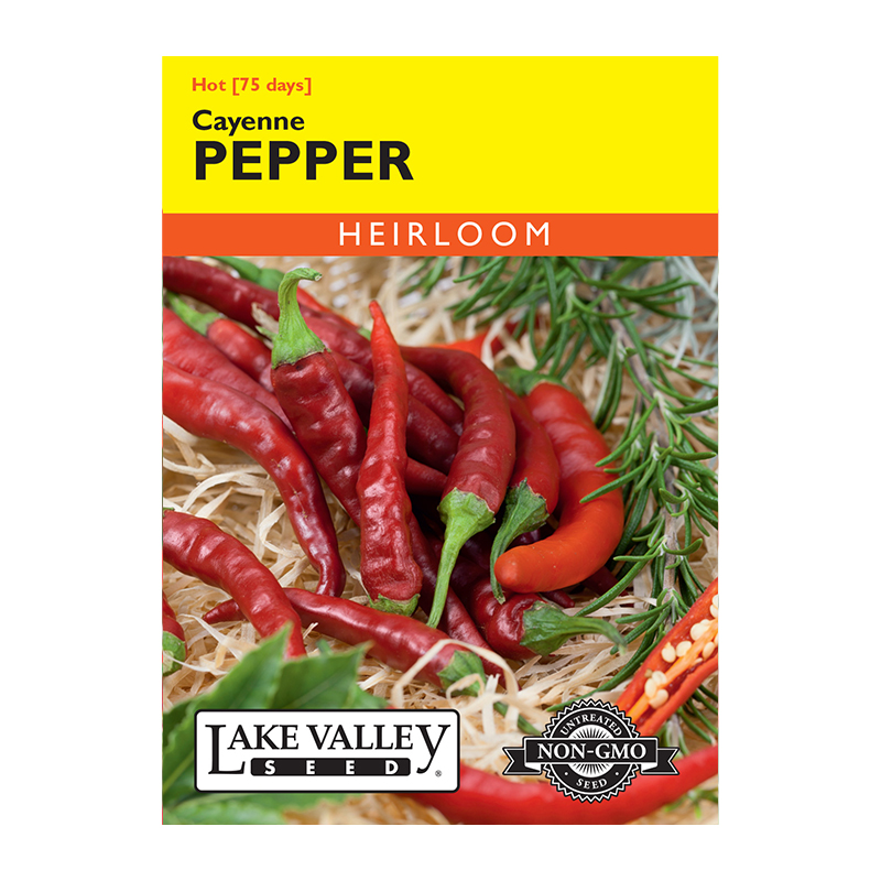 PEPPER HOT CAYENNE LNG RED THIN