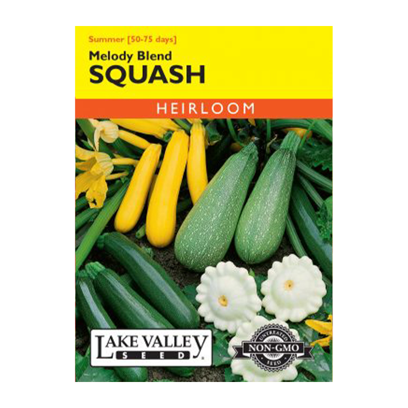 SQUASH SUMMER MELODY BLEND