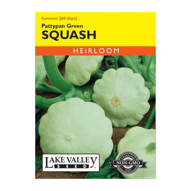 SQUASH SUMMER PATTYPAN GRN HEI