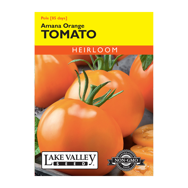 TOMATO POLE AMANA ORANGE HEIRL