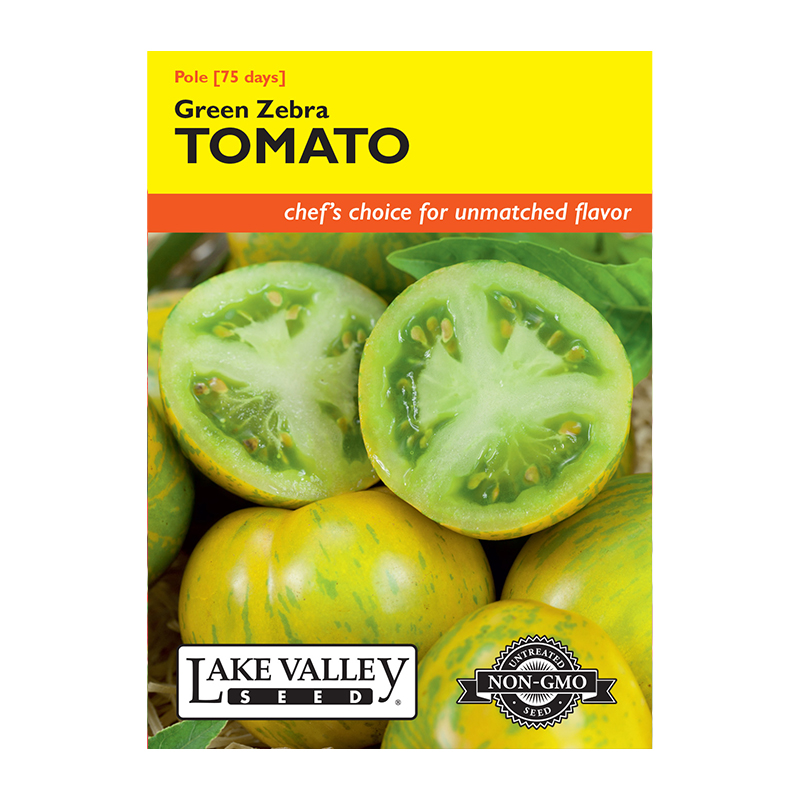 TOMATO POLE GREEN ZEBRA