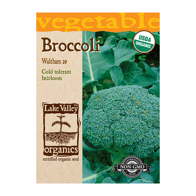 ORGANIC BROCCOLI WALTHAM  HEI