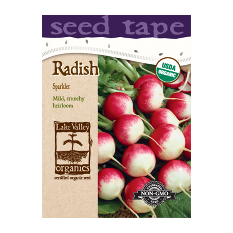 ORGANIC RADISH SPARKLER