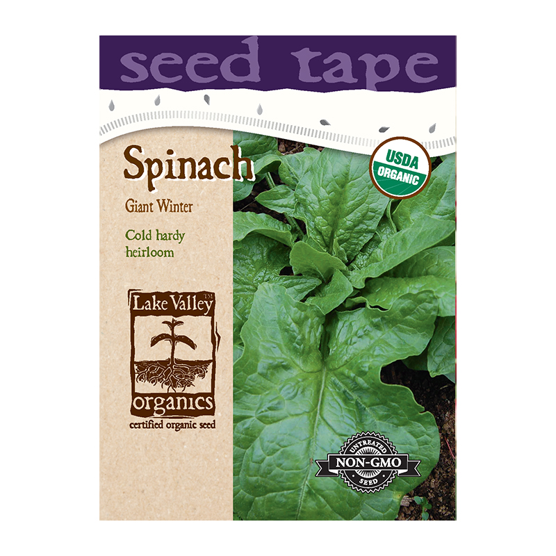 ORGANIC SPINACH GIANT WINTER