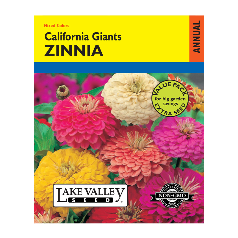 ZINNIA CALIFORNIA GIANT MXD C