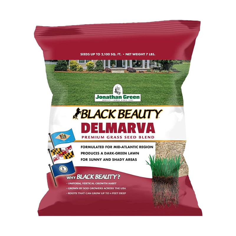 7LBS DELMARVA GRASS SEED