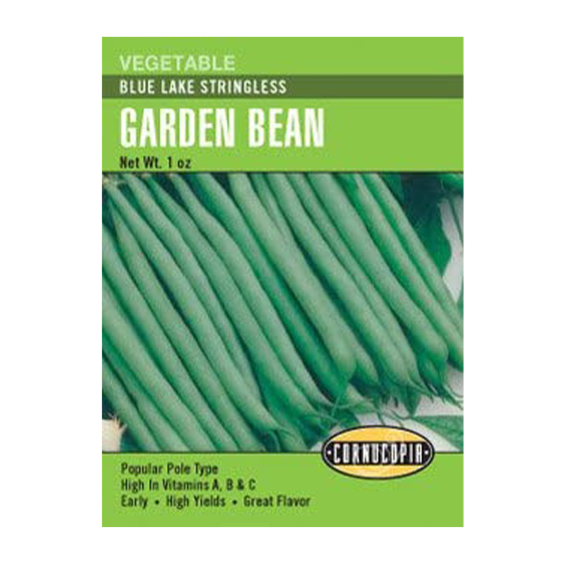 BEAN POLE BLUE LAKE