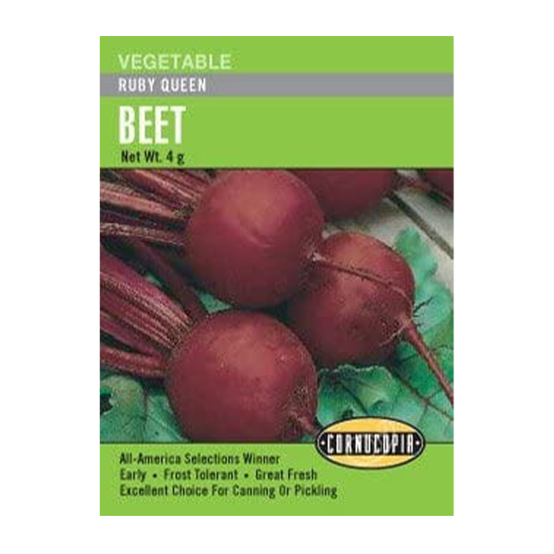 BEET RUBY QUEEN