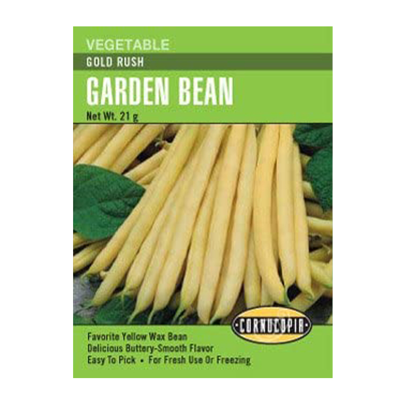 BEAN BUSH GOLD RUSH
