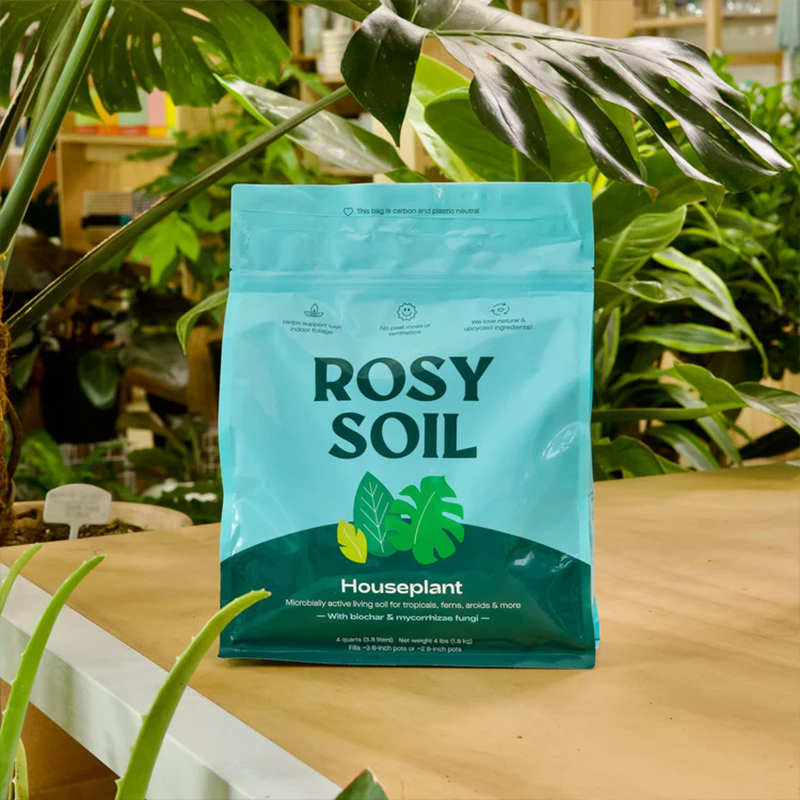 Rosy Houseplant Mix - 4qt