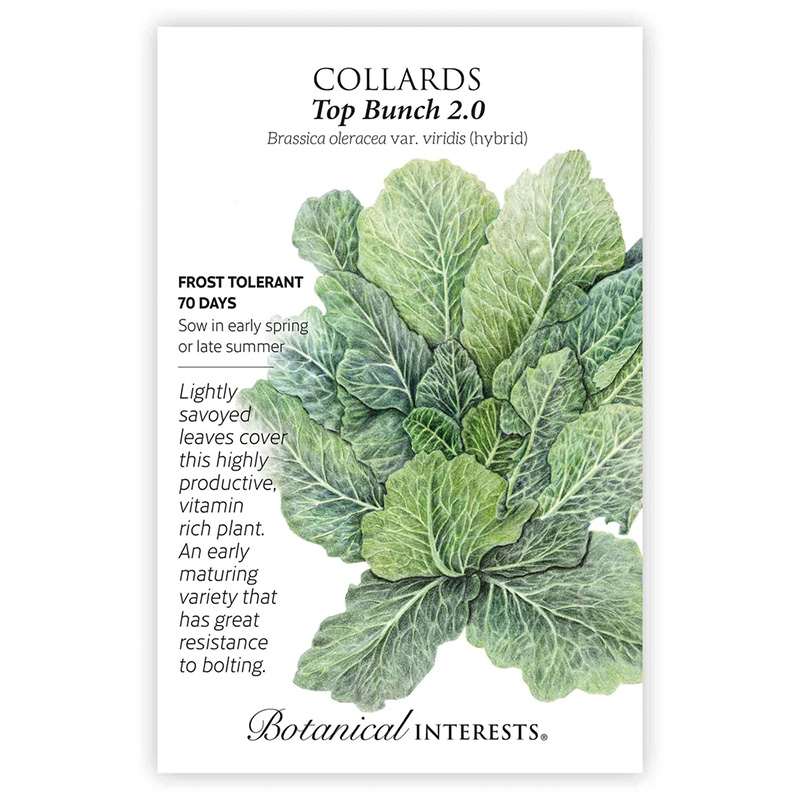 COLLARDS TOP BUNCH 2.0