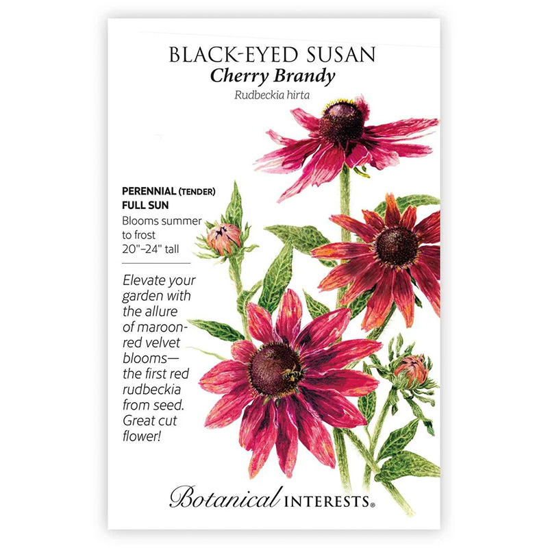 BLACK-EYED SUSAN CHERRY
