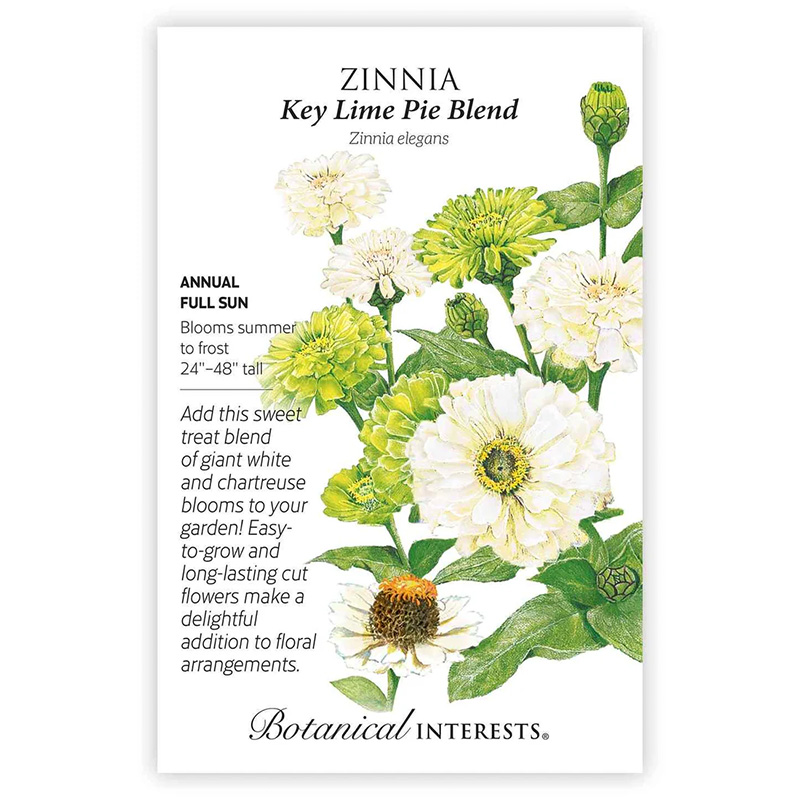 ZINNIA KEY LIME PIE MIX