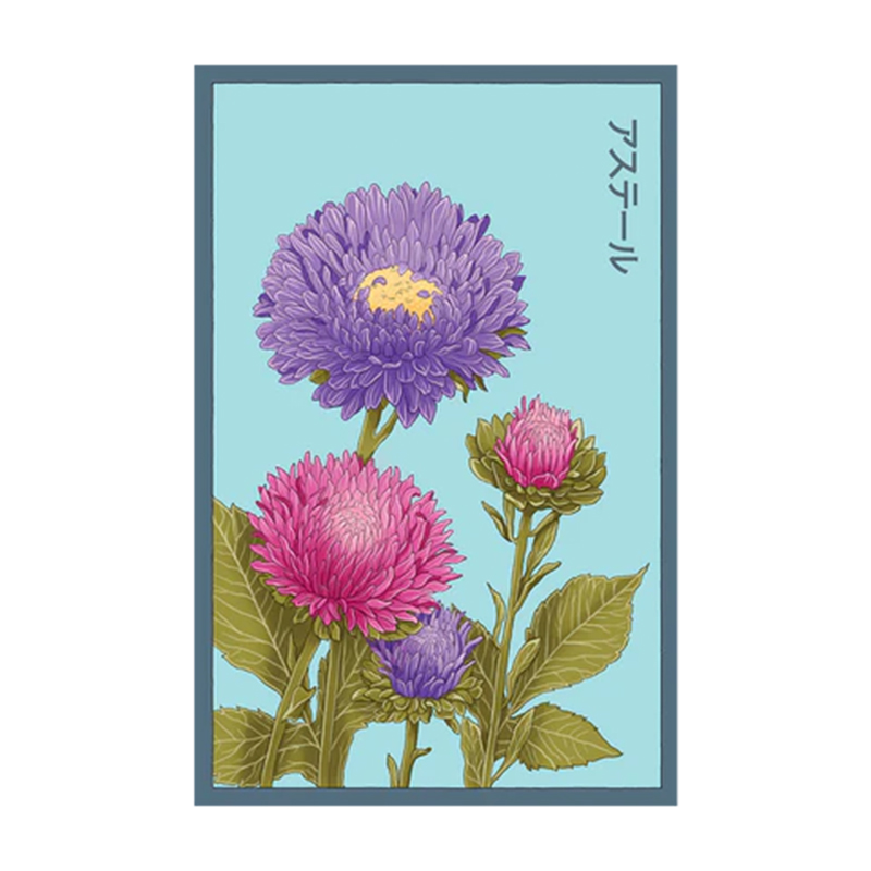 ASTER FLOWER
