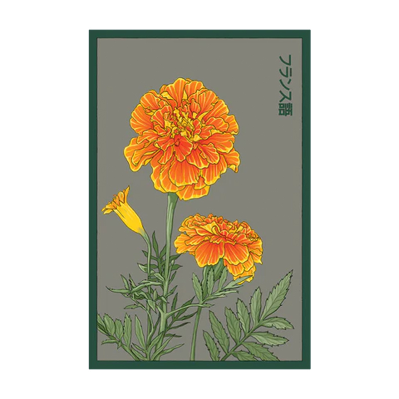 FRENCH MARIGOLD FLOWER