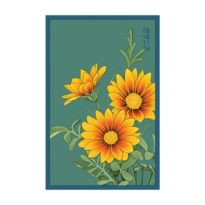 GAZANIA FLOWER