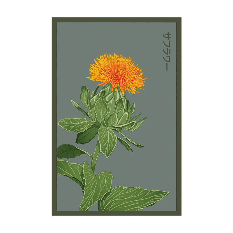 SAFFLOWER FLOWER