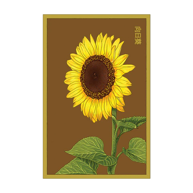 SUNFLOWER FLOWER