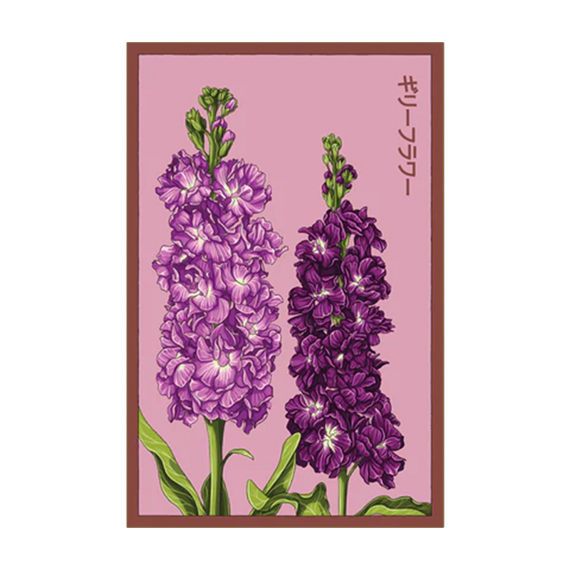 GILLY FLOWER