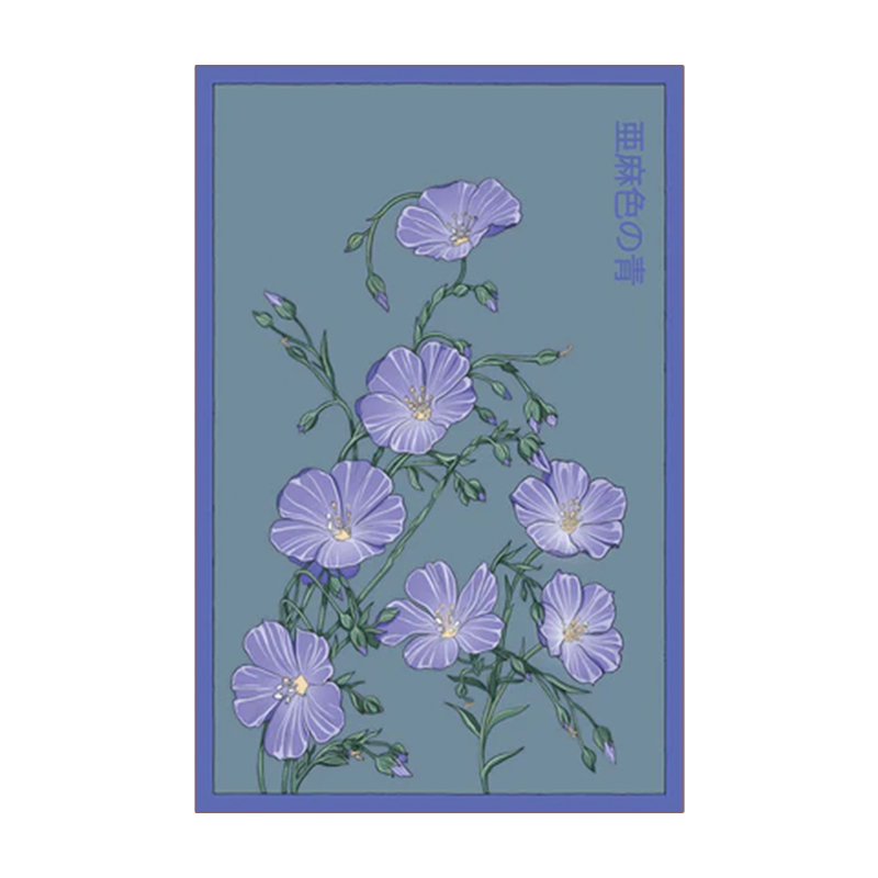 FLOX BLUE FLOWER