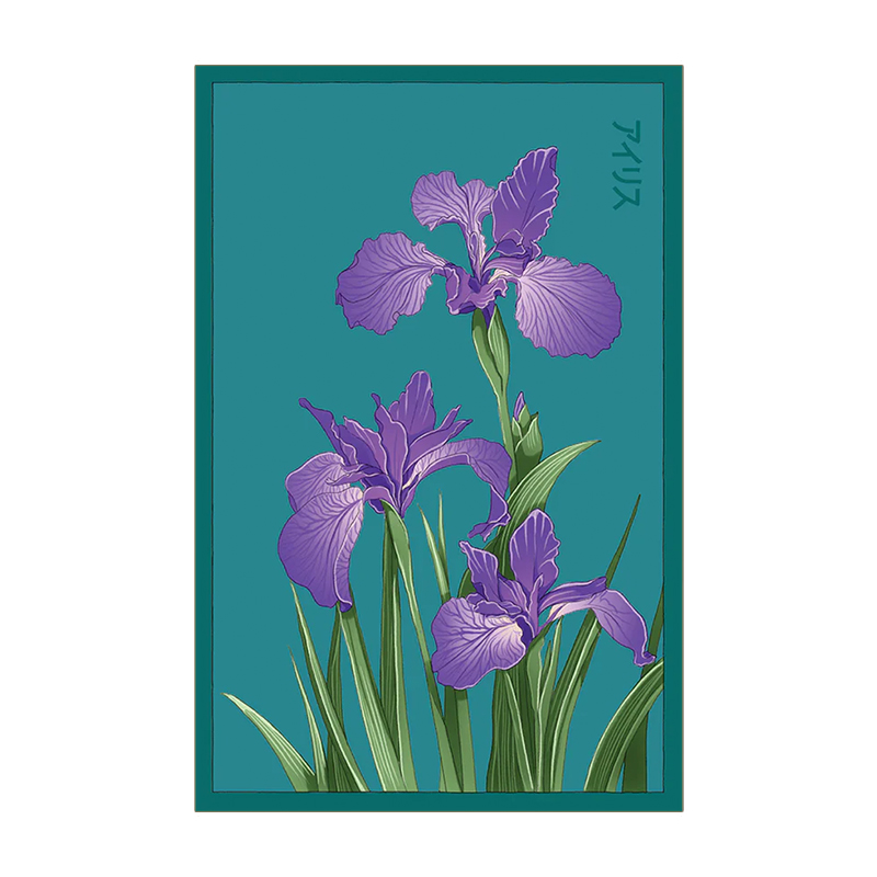 IRIS FLOWER