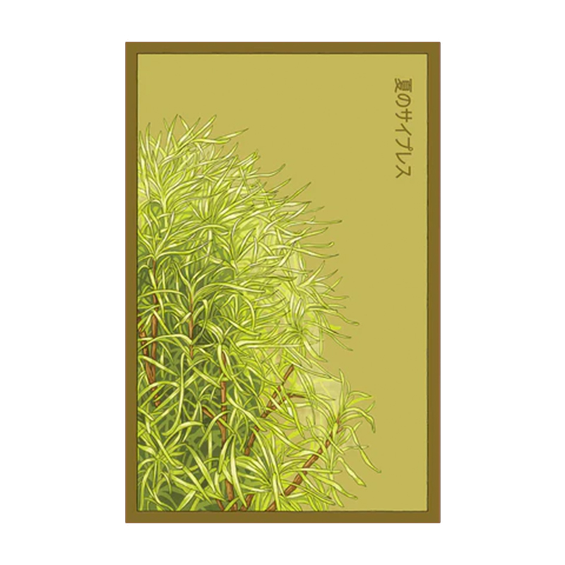 SUMMER CYPRESS FLOWER