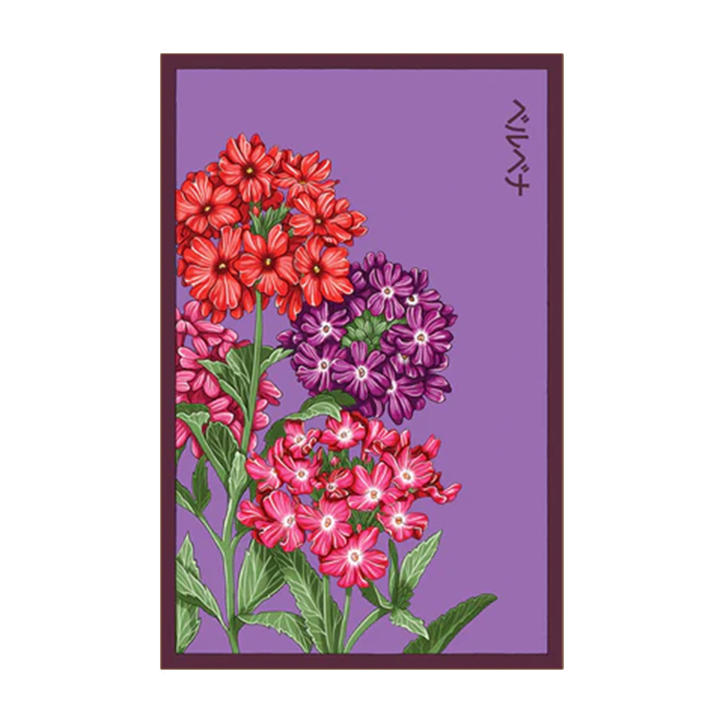 VERBENA FLOWER