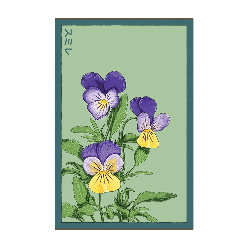 PANSY FLOWER