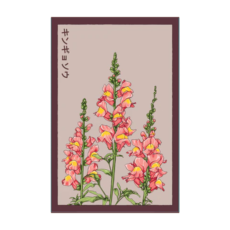 SNAPDRAGON FLOWER