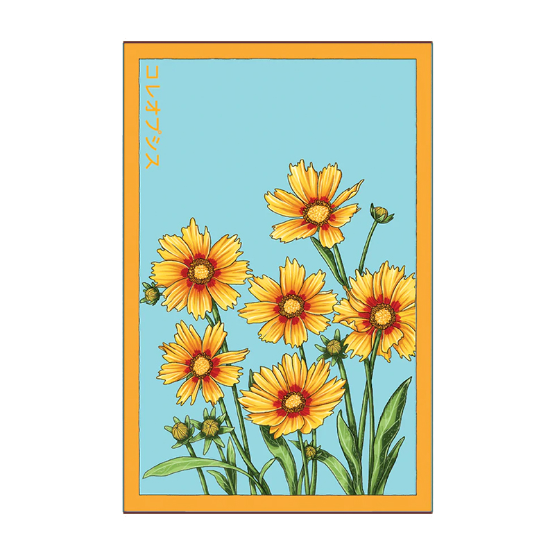 COREOPSIS FLOWER