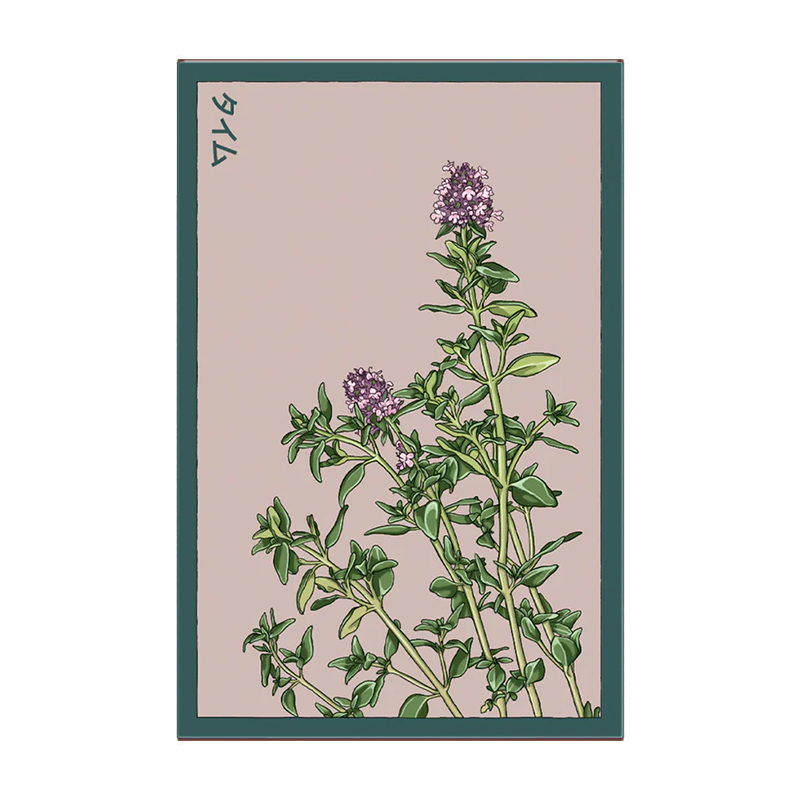 THYME HERB