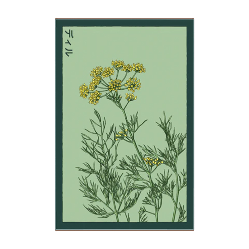 DILL HERB