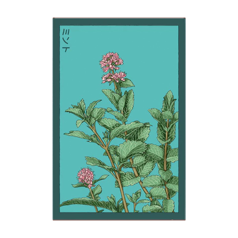 MINT HERB
