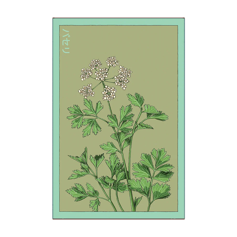 PARSLEY HERB