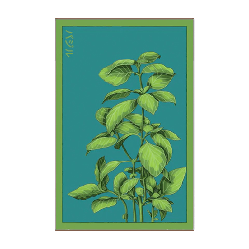 BASIL HERB