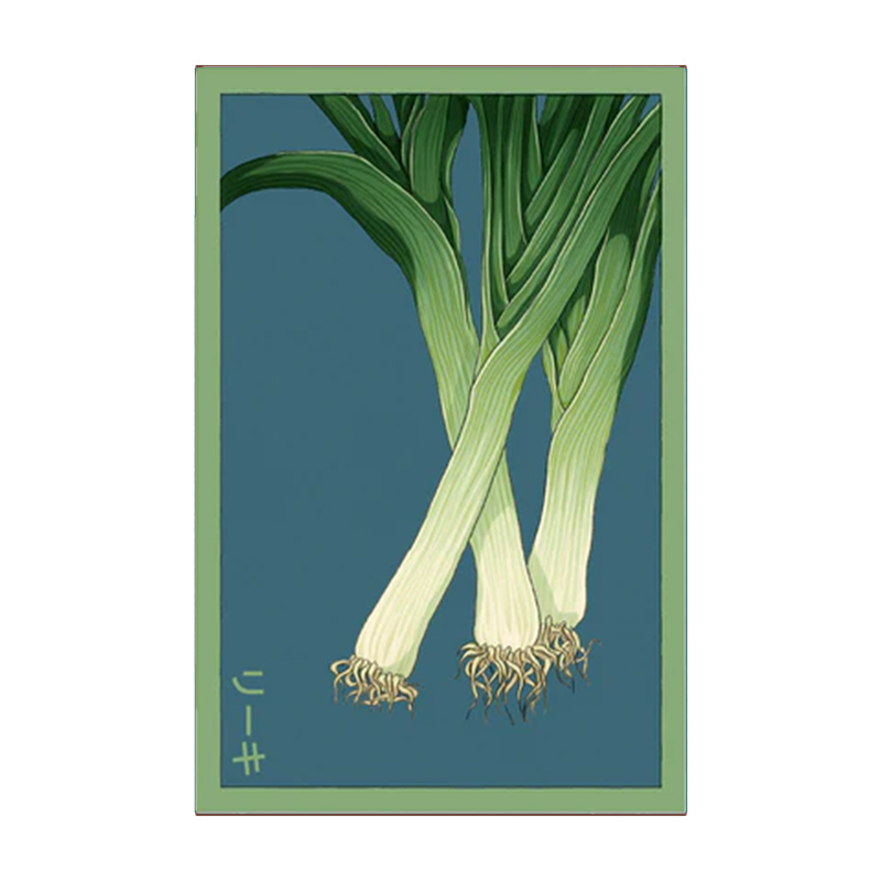 LEEK VEG