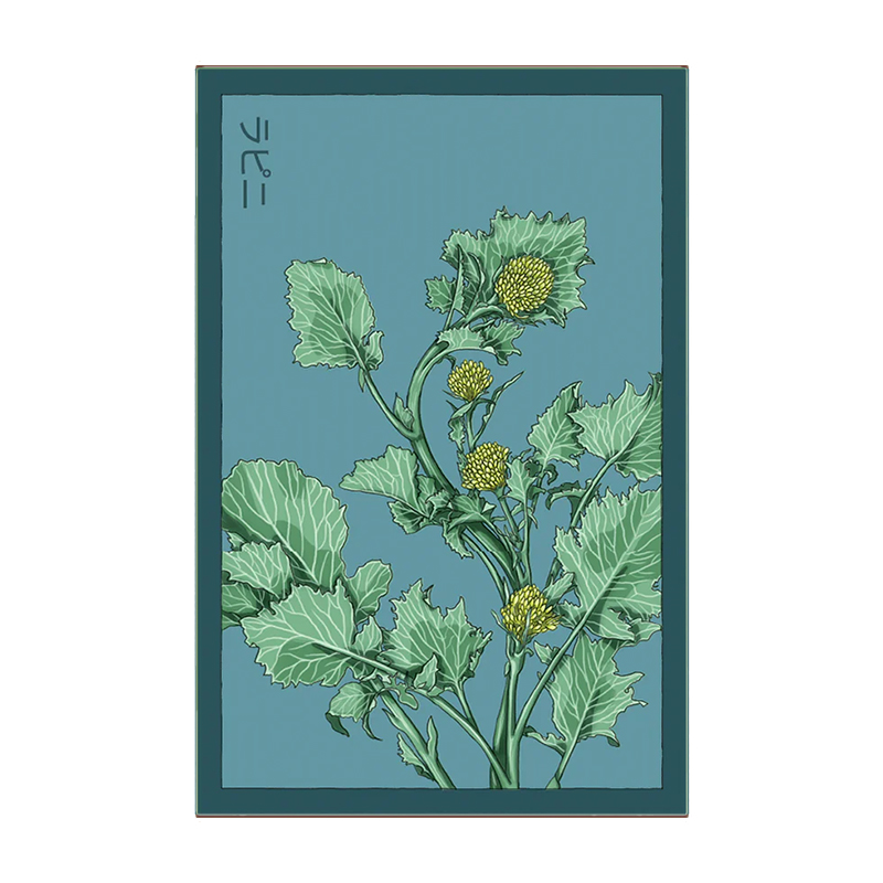 RAPINI VEG