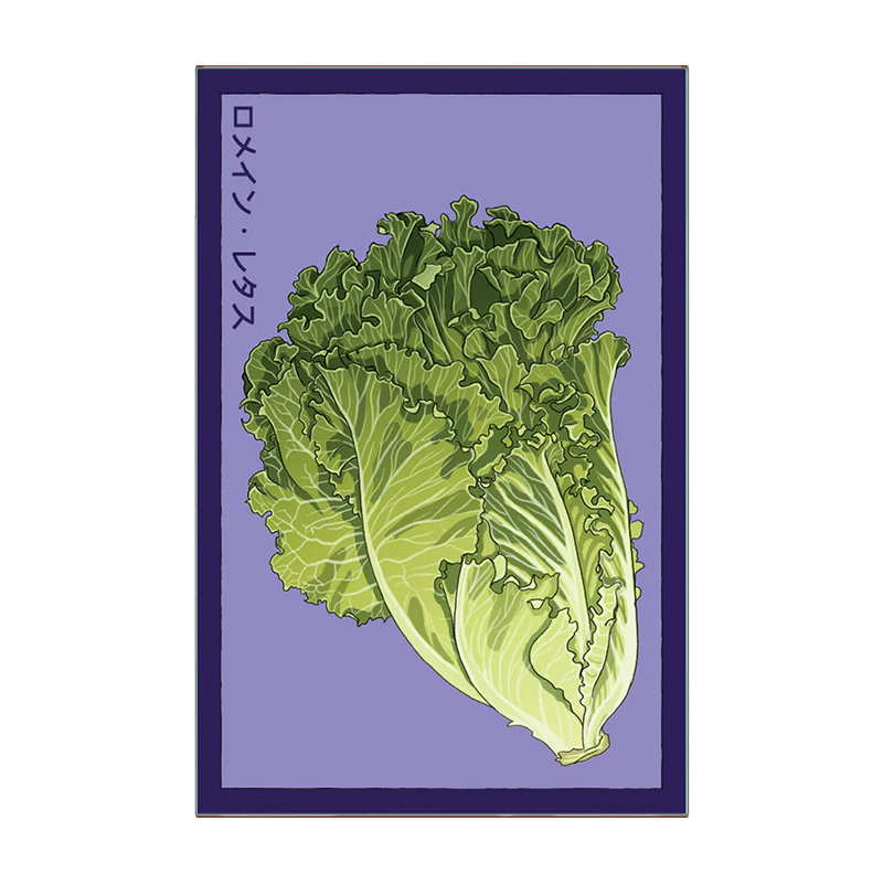 ROMAIN LETTUCE VEG