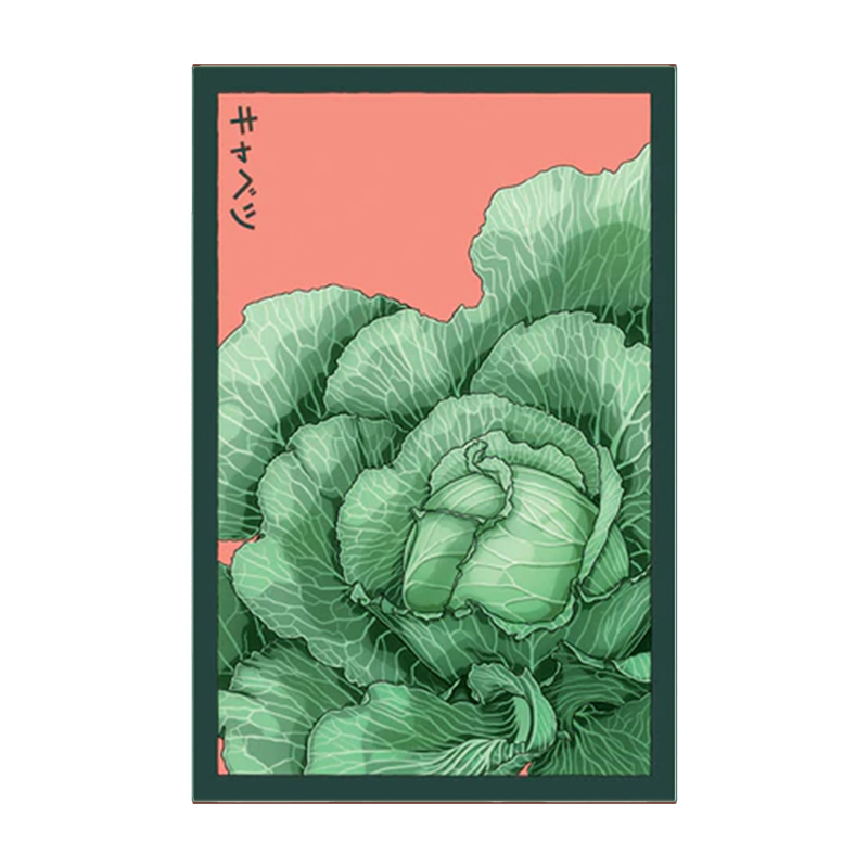 CABBAGE VEG