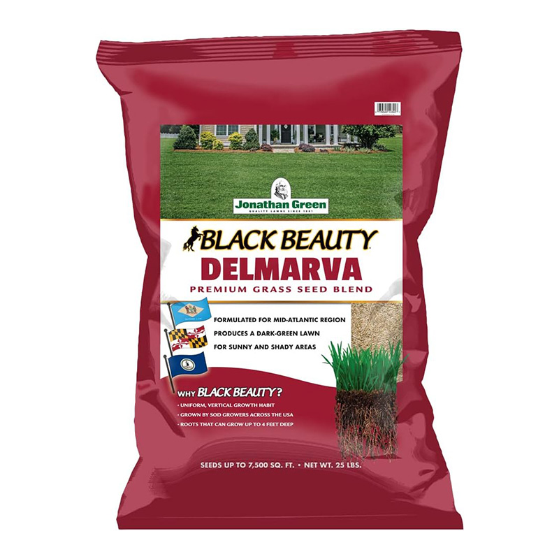 25LBS DELMARVA GRASS SEED