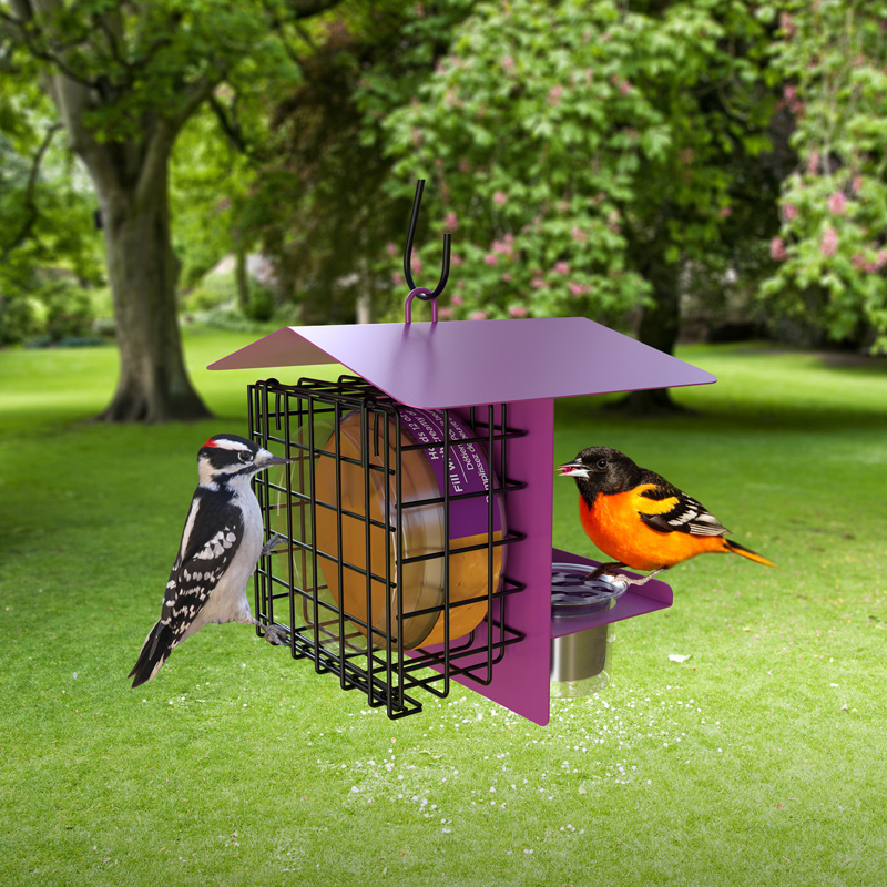 PB & JELLY FEEDER PURPLE